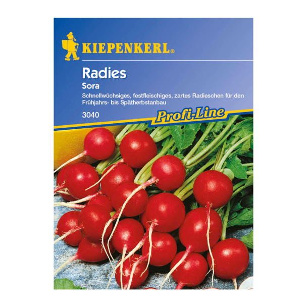 Radies 'Sora'