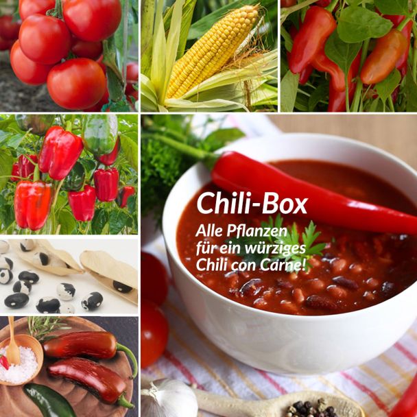 Set-Preis: Chili-Box (6 Gemüsepflanzen)