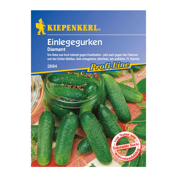 Gurken (Einlegegurke) 'Diamant' F1