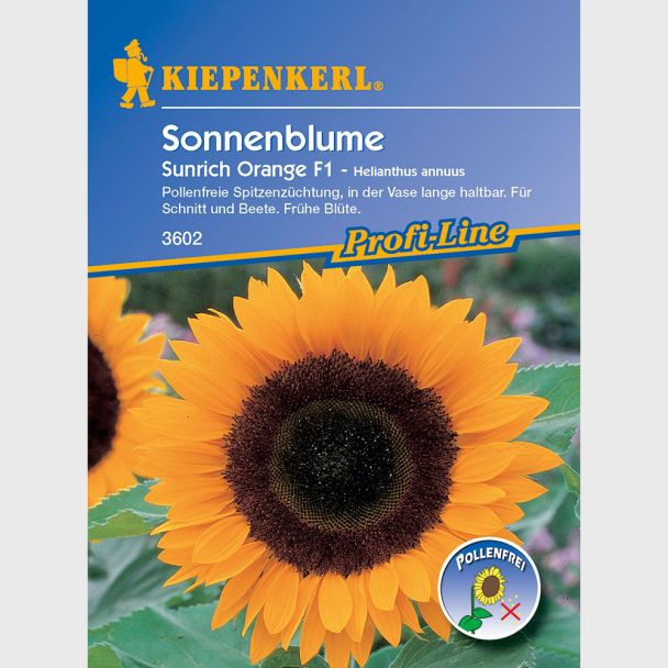Sonnenblume 'Sunrich Orange' F1