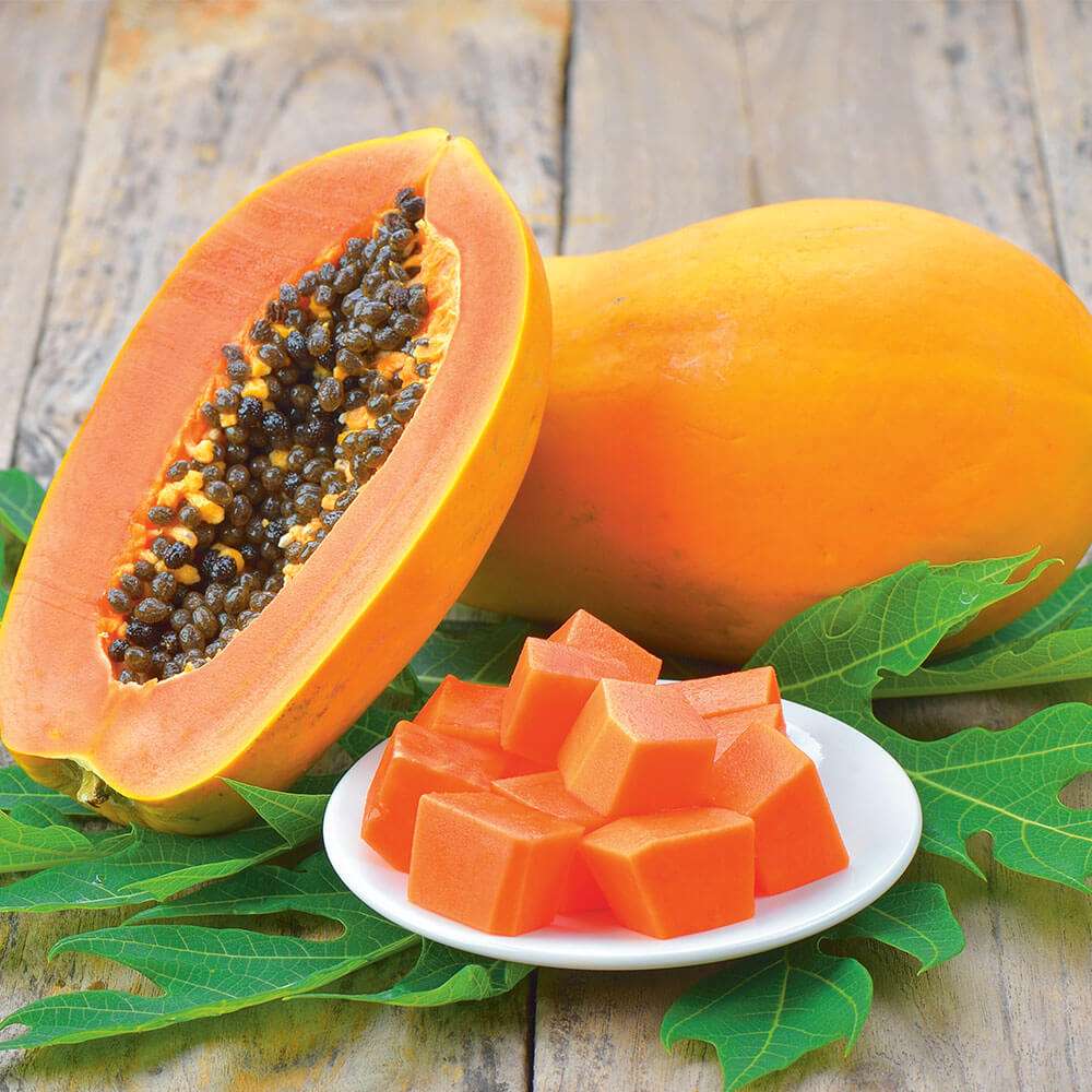 BIO Papaya kaufen | Ahrens+Sieberz - Pflanzenversand & Gartenbedarf