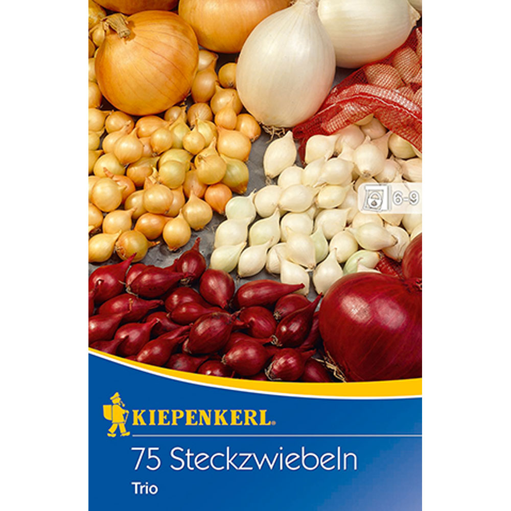 75 Steckzwiebeln Kiepenkerl 611153 Steckzwiebel Trio 