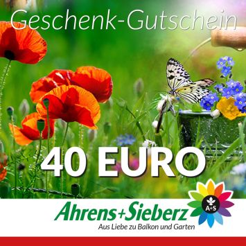 Geschenk-Gutschein, Wert 40 Euro Sommerfreude