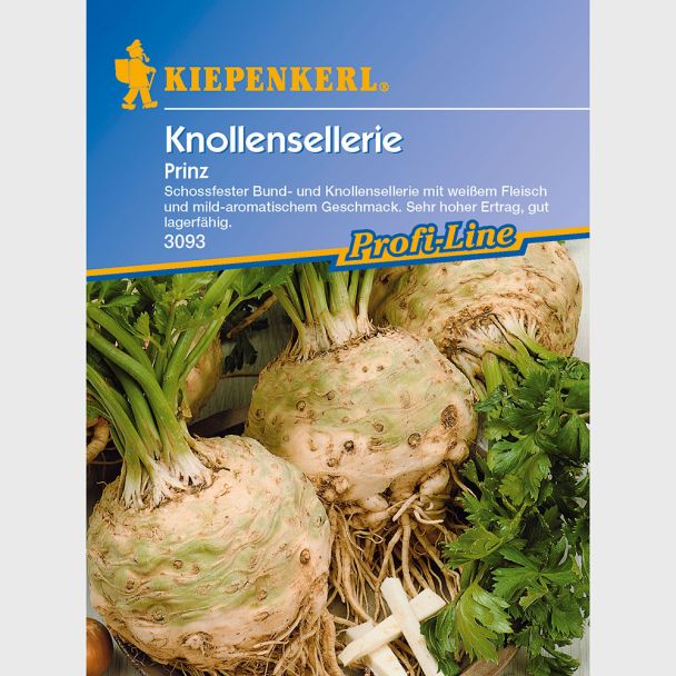 Knollensellerie 'Prinz'