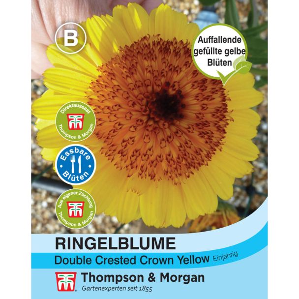 Ringelblume Double Crested Crown Yellow