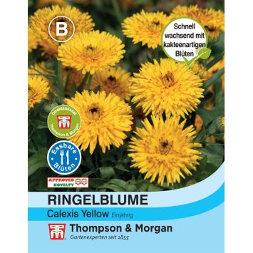 Ringelblume Calexis Yellow