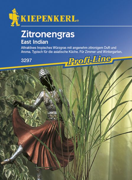 Zitronengras 'East Indian'