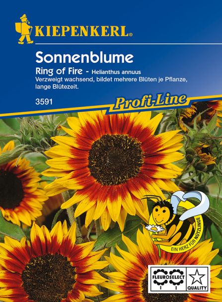Sonnenblume 'Ring of Fire'
