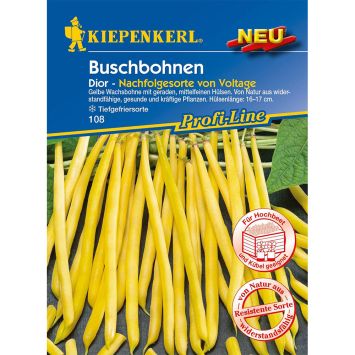Buschbohne Dior