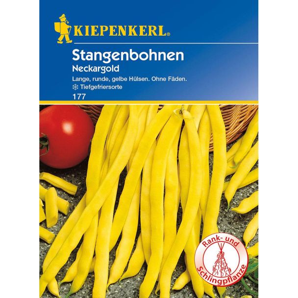 Stangenbohnen 'Neckargold'