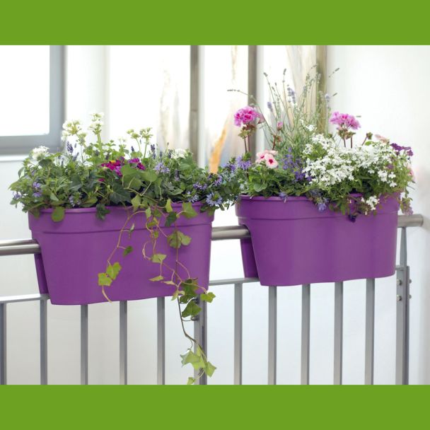 Flowerclip XL, 2er Set, lila