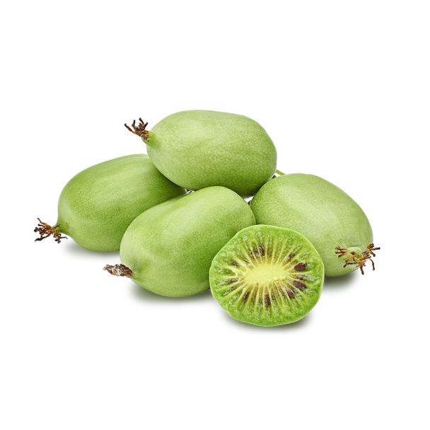 Mini-Kiwi Issai