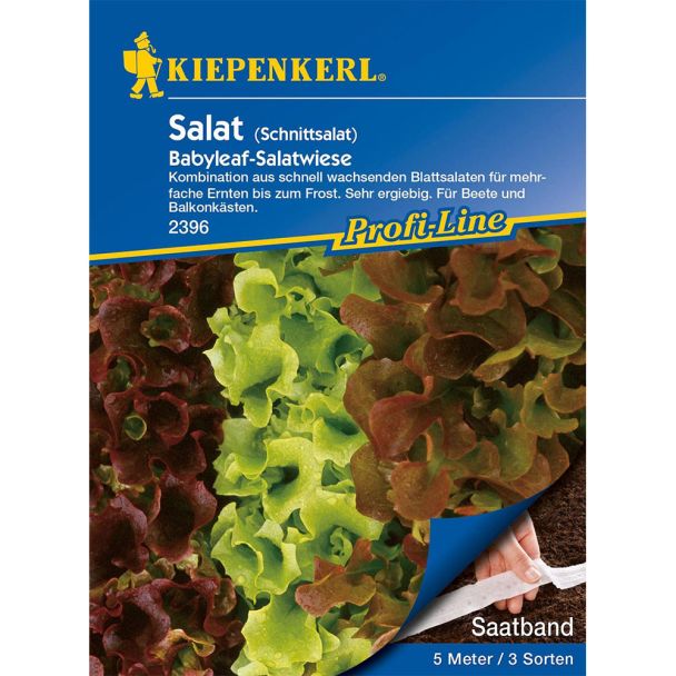 Schnittsalat Babyleaf-Salatwiese (Saatband)
