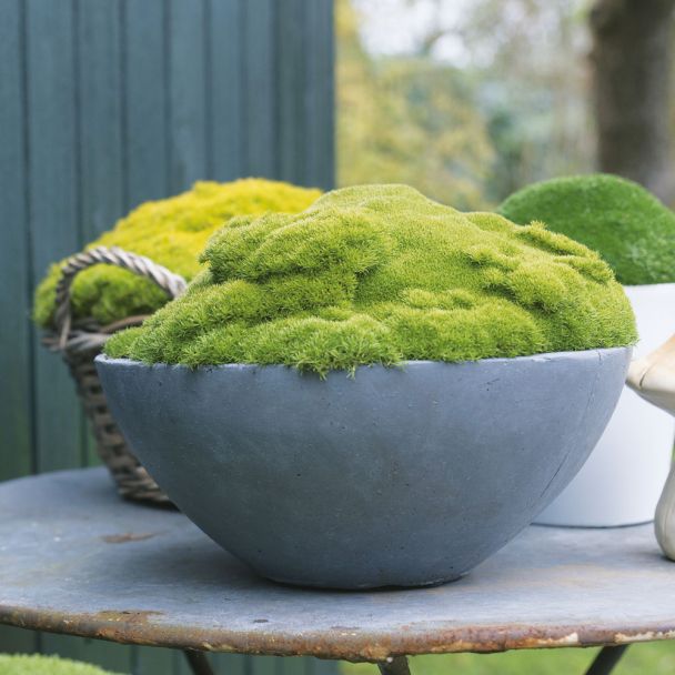 Match Moss 'Pine Green'