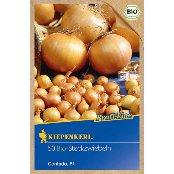 Steckzwiebel BIO Contado F1