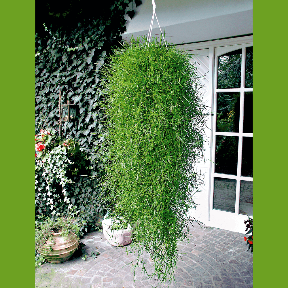 bambus 170 cm Pergola Jordi aus Bambus 170×170×220 cm 147,90 € Versandfrei main image 1