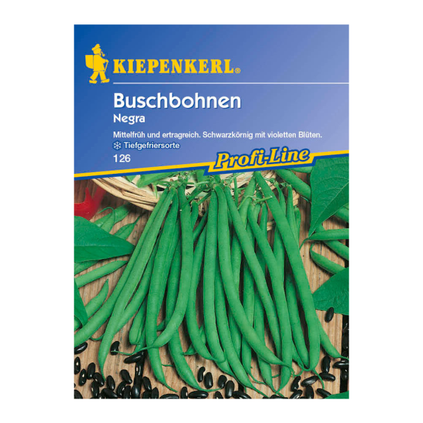 Buschbohnen 'Negra'