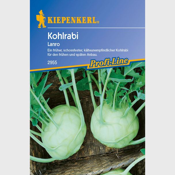 Kohlrabi 'Lanro'