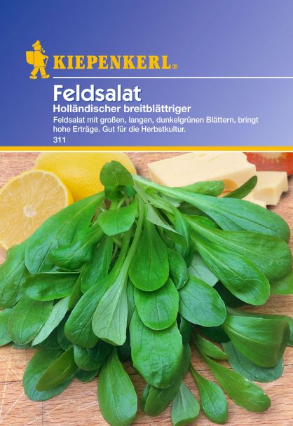 Feldsalat 'Holländischer breitblättriger'