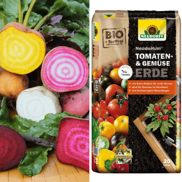 Bunte Beete + Erde (Sparangebot)