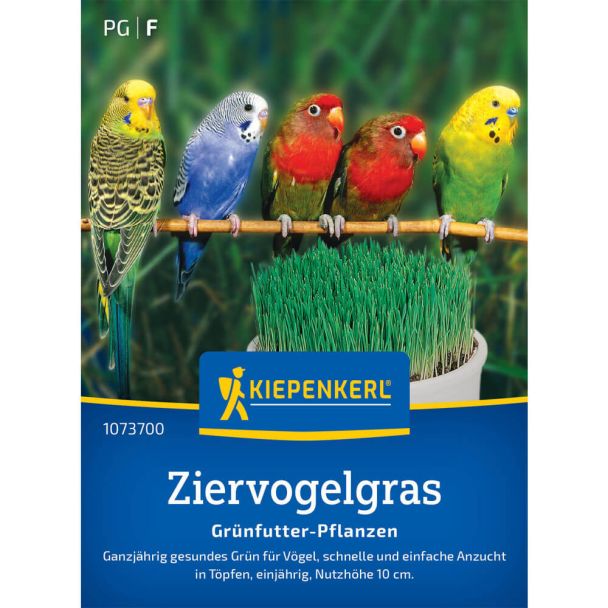 Ziervogelgrassamen Frischgrün Mischung