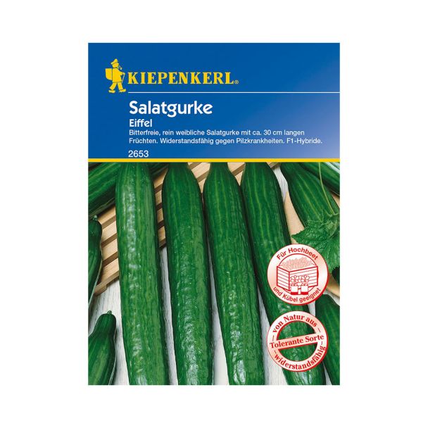 Samen Salatgurke 'Eiffel' - F1