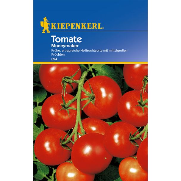 Tomaten 'Moneymaker'