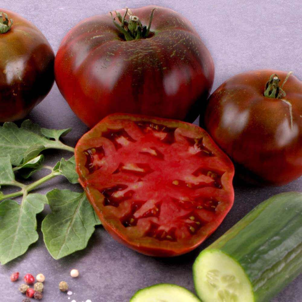 Tomate Innen Schwarz