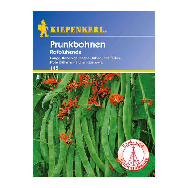 Prunkbohnen 'Rotblühende'