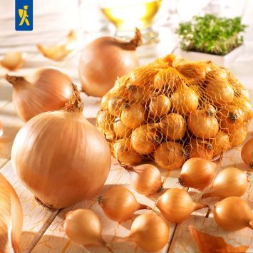 Steckzwiebeln Stuttgarter Riesen 250 g (1 kg / € 7,96)