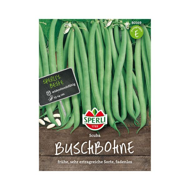 Buschbohnen 'Scuba'
