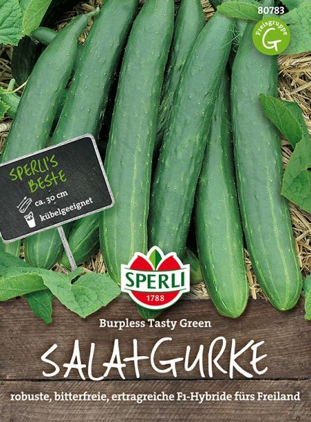 Salatgurken 'Burpless Tasty Green F1'