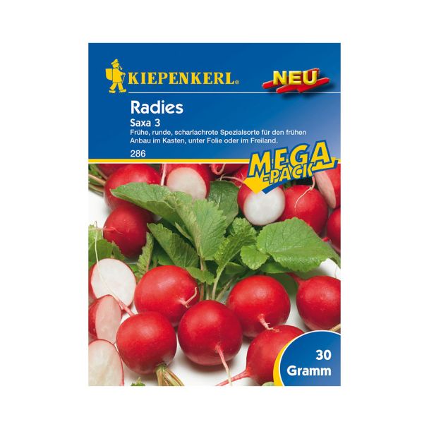 Radies 'Saxa 3' - MEGA-Pack