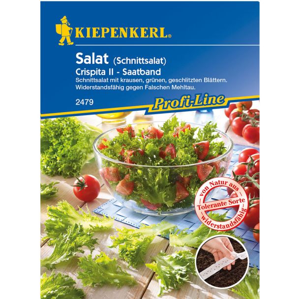 Salat 'Crispita II' (Saatband)