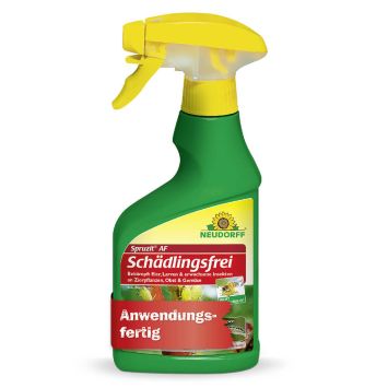 Spruzit® AF Schädlingsfrei, 250ml (1 L / € 43,96)