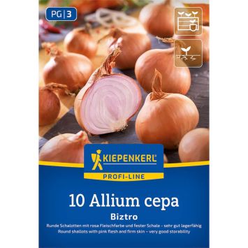 Kiepenkerl Rote Schalotten Biztro