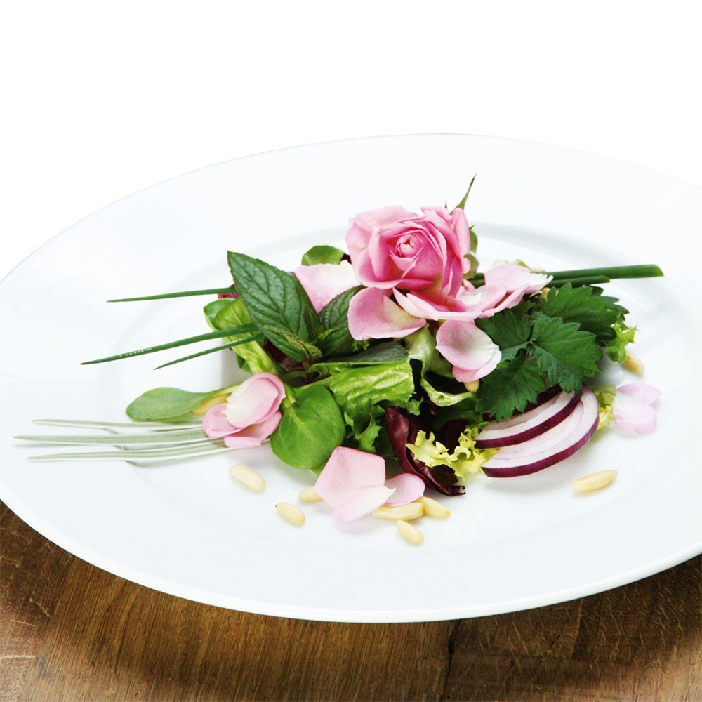 Gourmet-Rose 'Rosella®'