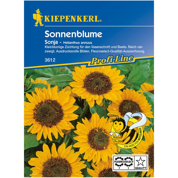 Sonnenblume 'Sonja'