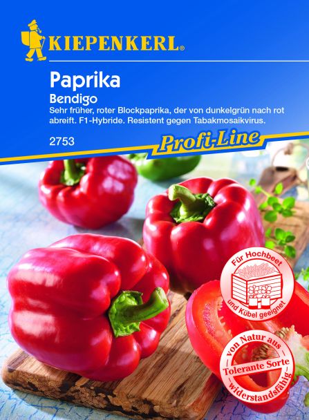 Blockpaprika 'Bendigo' F1