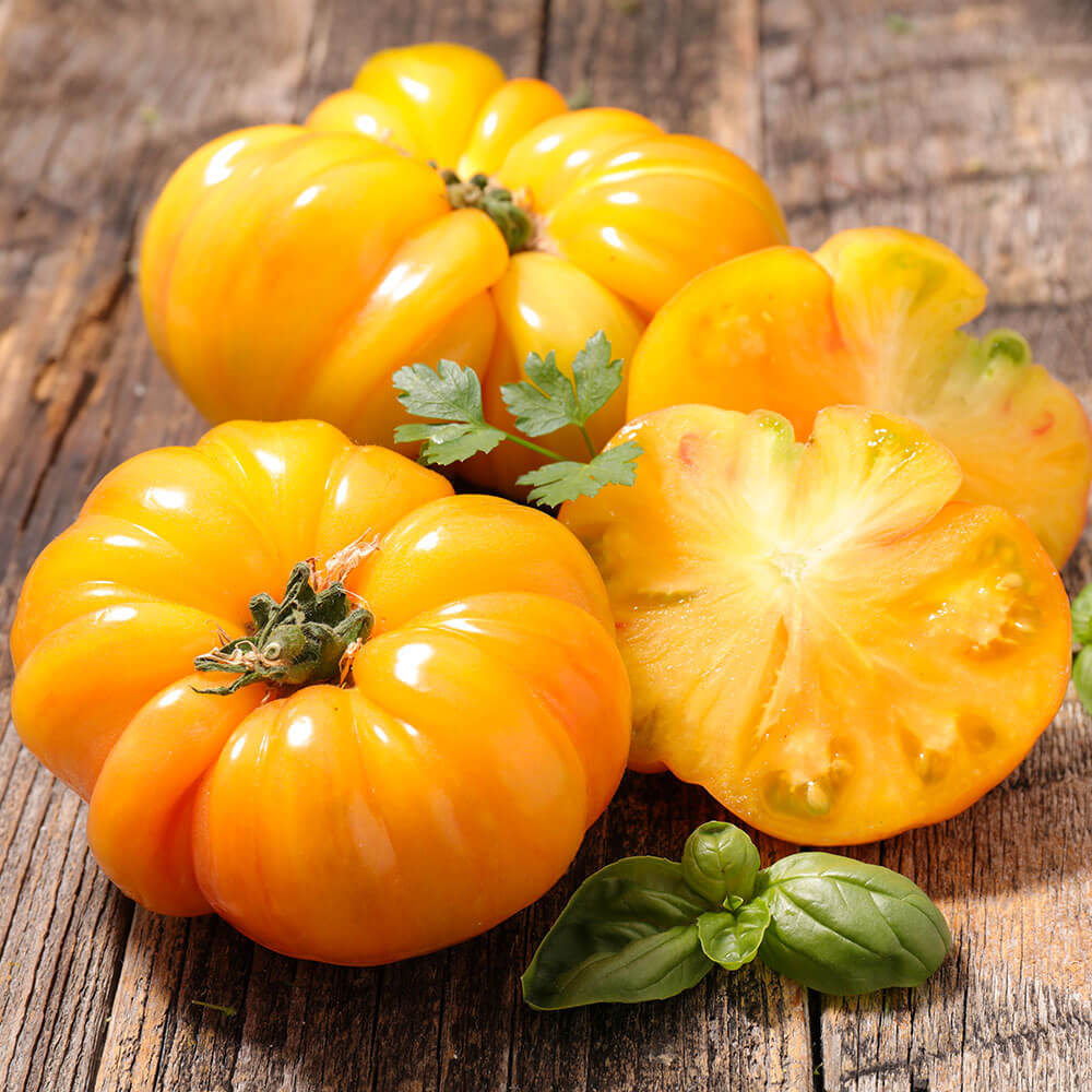 Golden Ananas-Tomate | Tomaten | Gemüsepflanzen | Gemüse | Ahrens ...