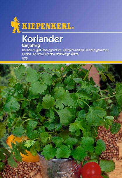 Koriander 'Einjährig'