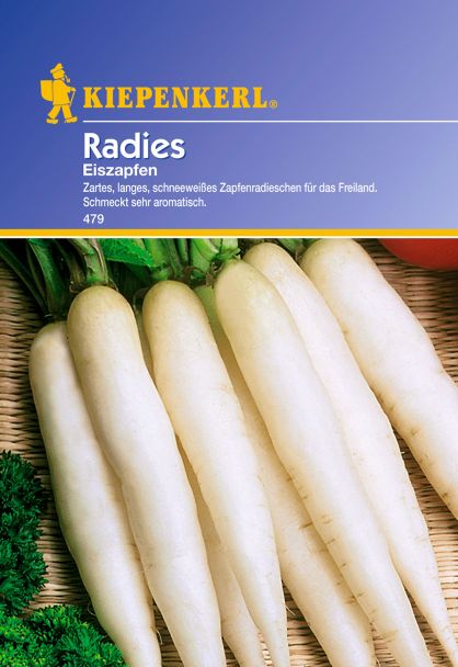 Radies 'Eiszapfen'