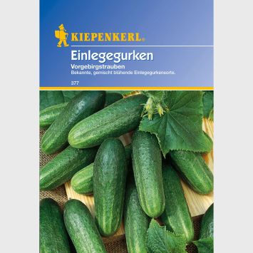 Einlege- / Essiggurke Vorgebirgstrauben