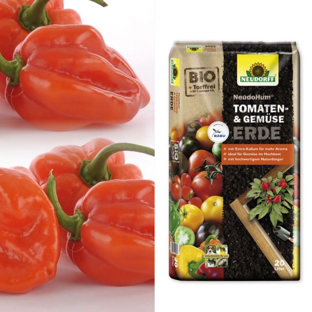 Setpreis: 2 x Indian Fire – Indischer Chili + 1 x NeudoHum® Tomaten- und Gemüseerde