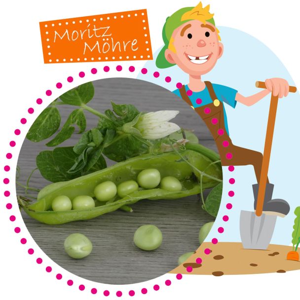 Zuckerschoten Grüne Perlen