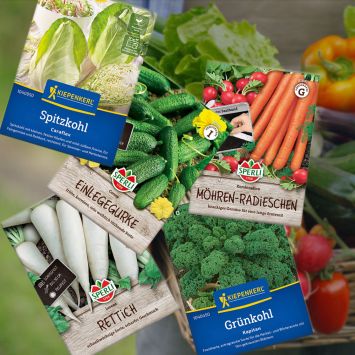 Lange Erntezeit (Samen-Set)