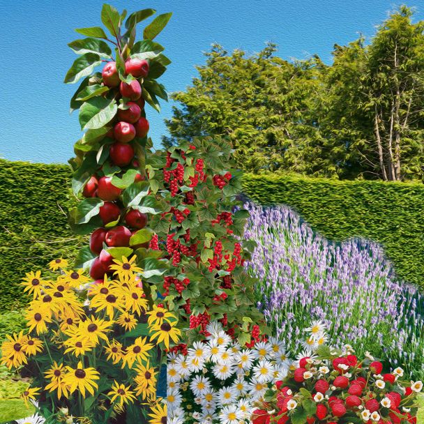 Nasch Und Bluh Garten Erdbeer Topfpflanzen Erdbeeren Obst