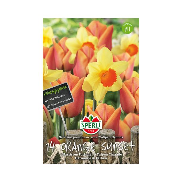 Tulpen- und Narzissen-Mischung 'Orange Sunset'