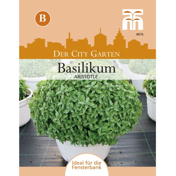 Basilikum Aristotle
