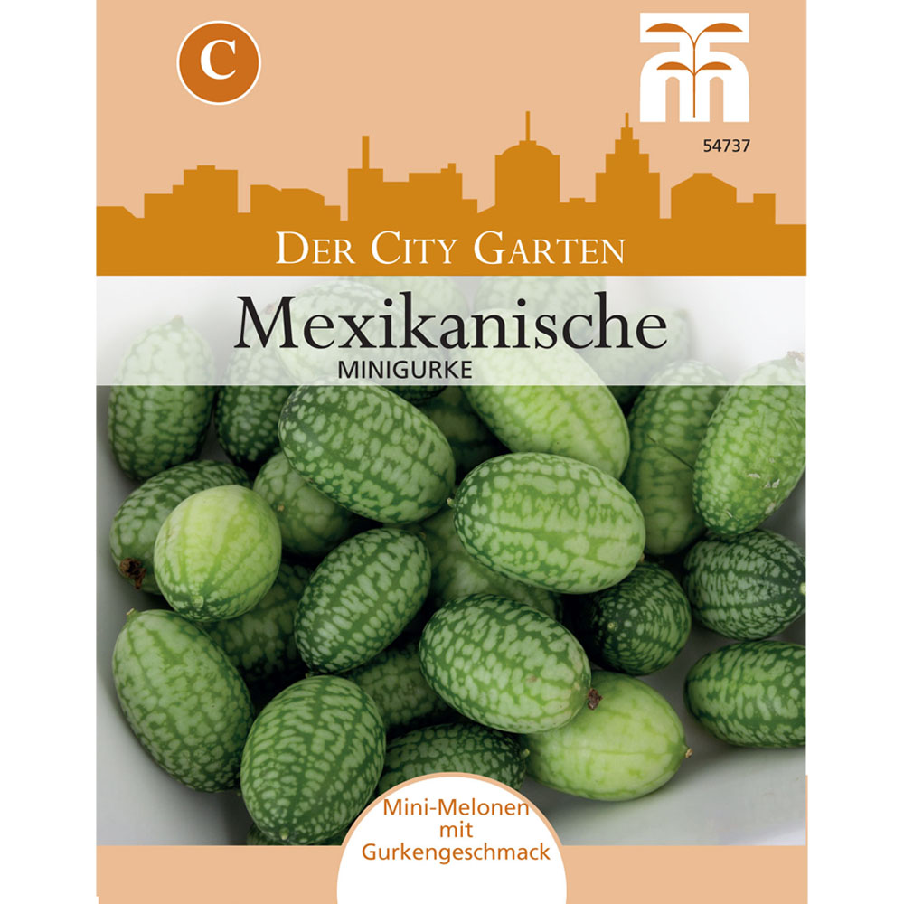 Mexikanische Minigurke Melothria scabra Balkon-Gemüse 20 Samen Snack-Gemüse